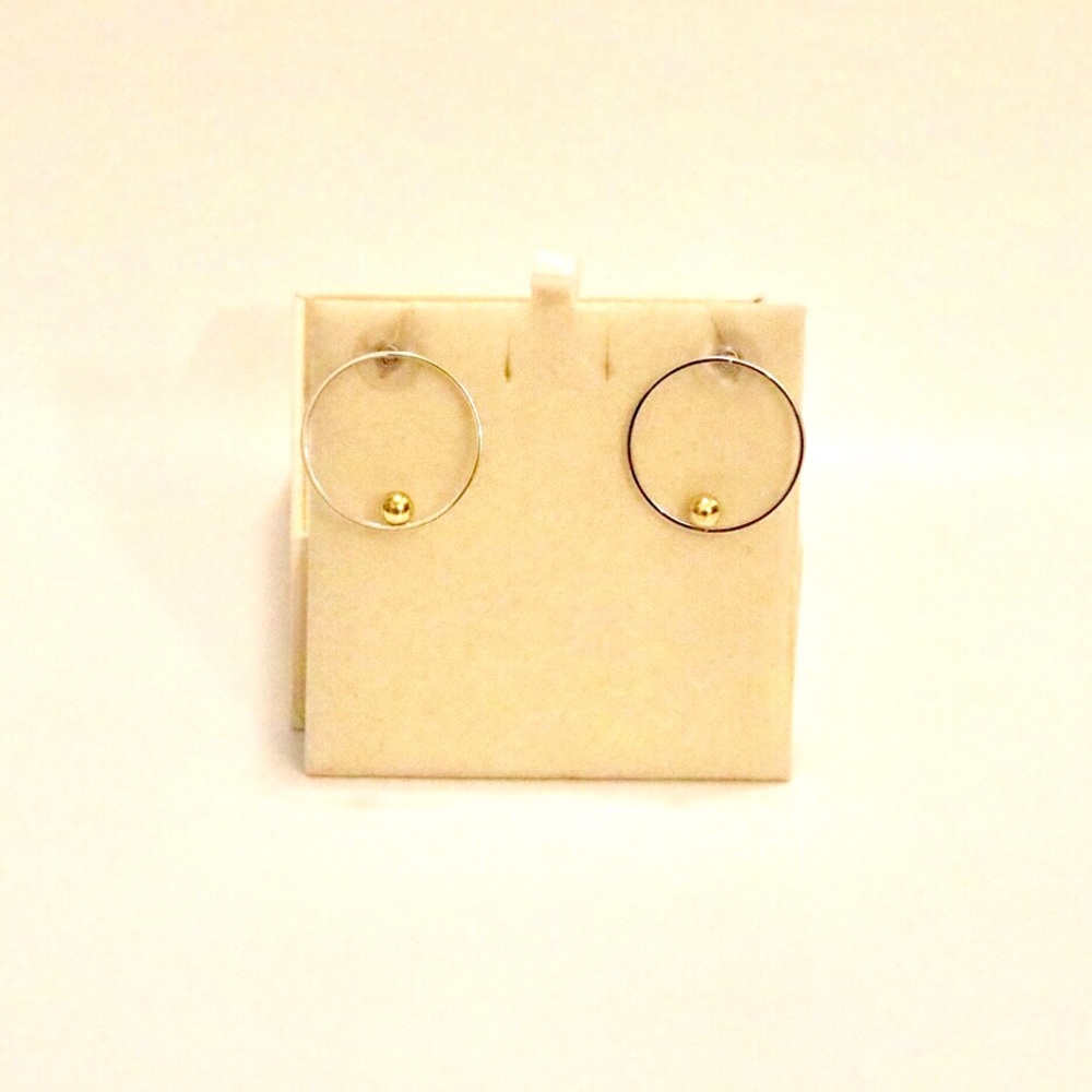 Two Toned Hoop Earrings